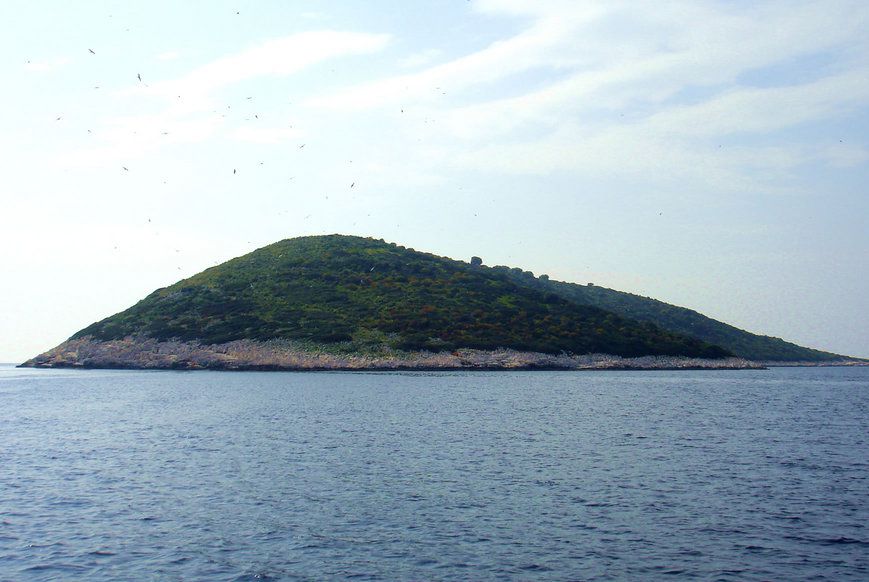 Modi Island. Cost: $1,500,000. Size: 51 Acres. Pros: "There is no industry or pollution in the area... just a perfect environment!" Cons: There are no cons, this costs LESS than an average Manhattan apartment, go buy it immediately fools!